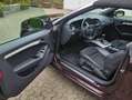 Audi A5 A5 Cabrio Diesel Cabrio 2.0 TDI DPF Violett - thumbnail 11