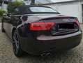 Audi A5 A5 Cabrio Diesel Cabrio 2.0 TDI DPF Violett - thumbnail 7