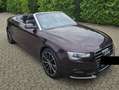 Audi A5 A5 Cabrio Diesel Cabrio 2.0 TDI DPF Violett - thumbnail 8