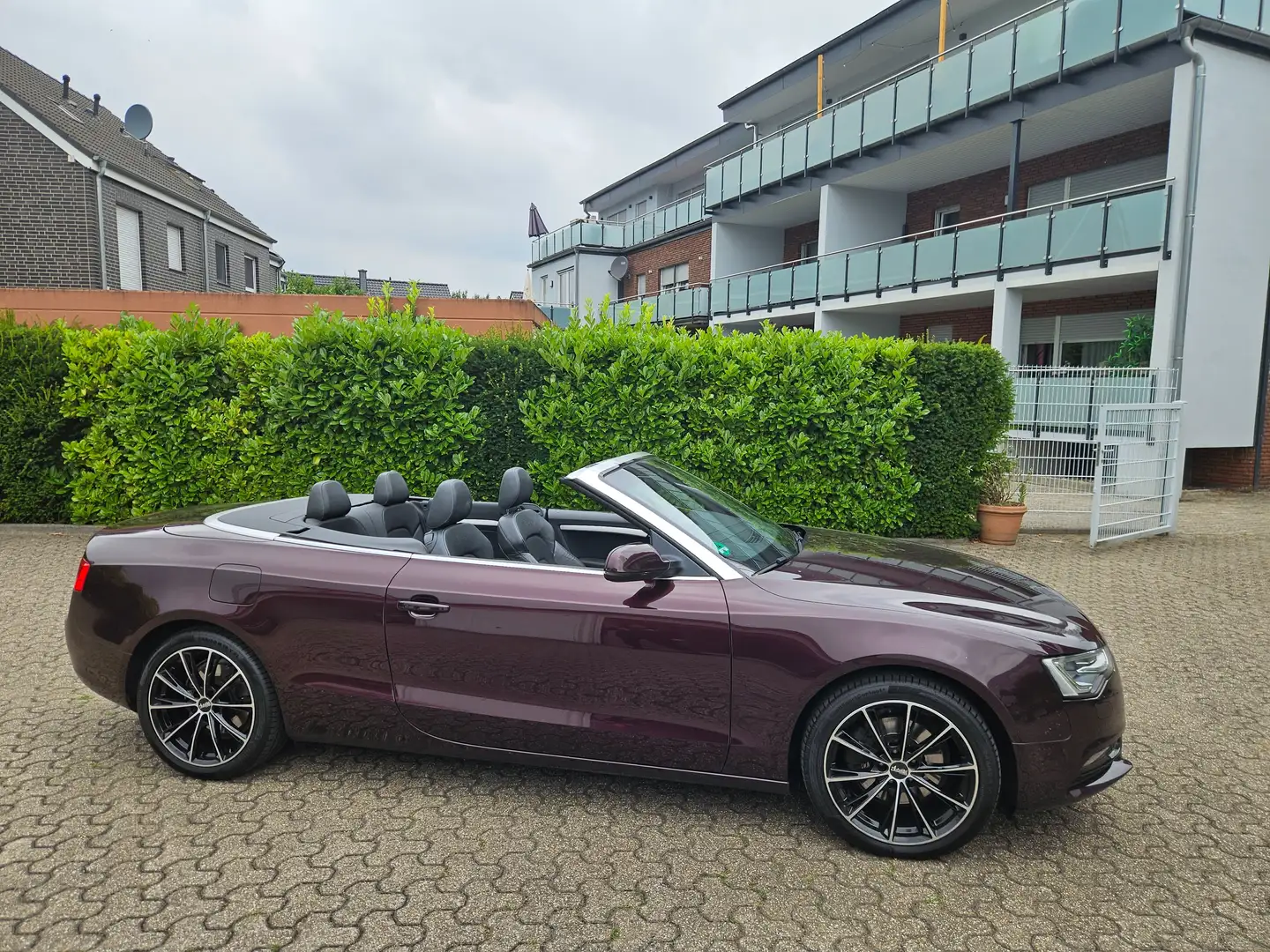 Audi A5 A5 Cabrio Diesel Cabrio 2.0 TDI DPF Violett - 2