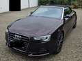 Audi A5 A5 Cabrio Diesel Cabrio 2.0 TDI DPF Violett - thumbnail 1