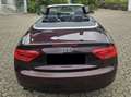 Audi A5 A5 Cabrio Diesel Cabrio 2.0 TDI DPF Violett - thumbnail 4