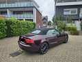 Audi A5 A5 Cabrio Diesel Cabrio 2.0 TDI DPF Violett - thumbnail 6
