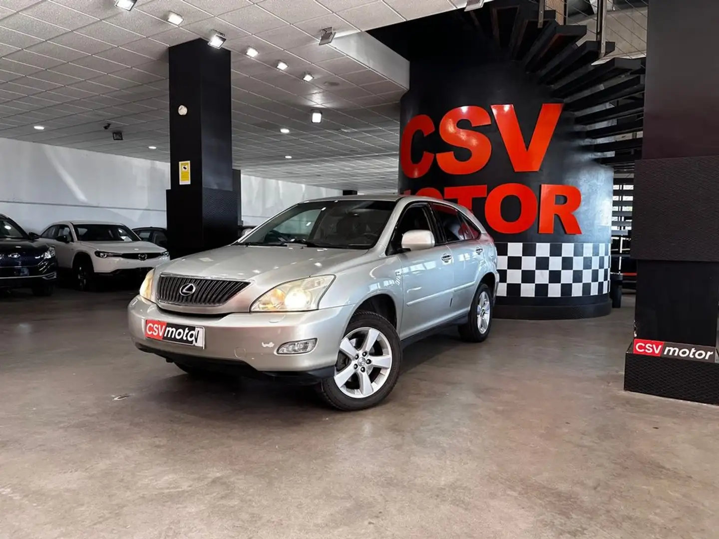 Lexus RX 300 Luxury Grigio - 2