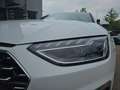 Audi S4 Avant 3.0 TDI quattro Tiptronic Navi LED Gris - thumbnail 12