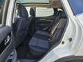 Nissan Qashqai 1.6dCi N-Connecta 4x2 Blanco - thumbnail 13
