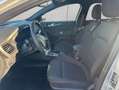 Ford Focus Turnier 1.5 EcoBlue Start-Stopp-System Aut. Silber - thumbnail 7