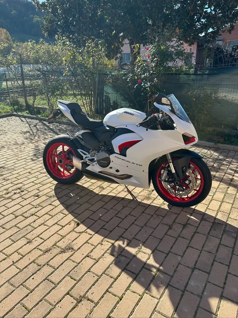 Ducati Panigale V2 Blanco - 1