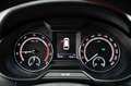 Skoda Octavia SW 2.0 tsi RS 245cv dsg SERVICE VW, PERMUTE Grigio - thumbnail 9