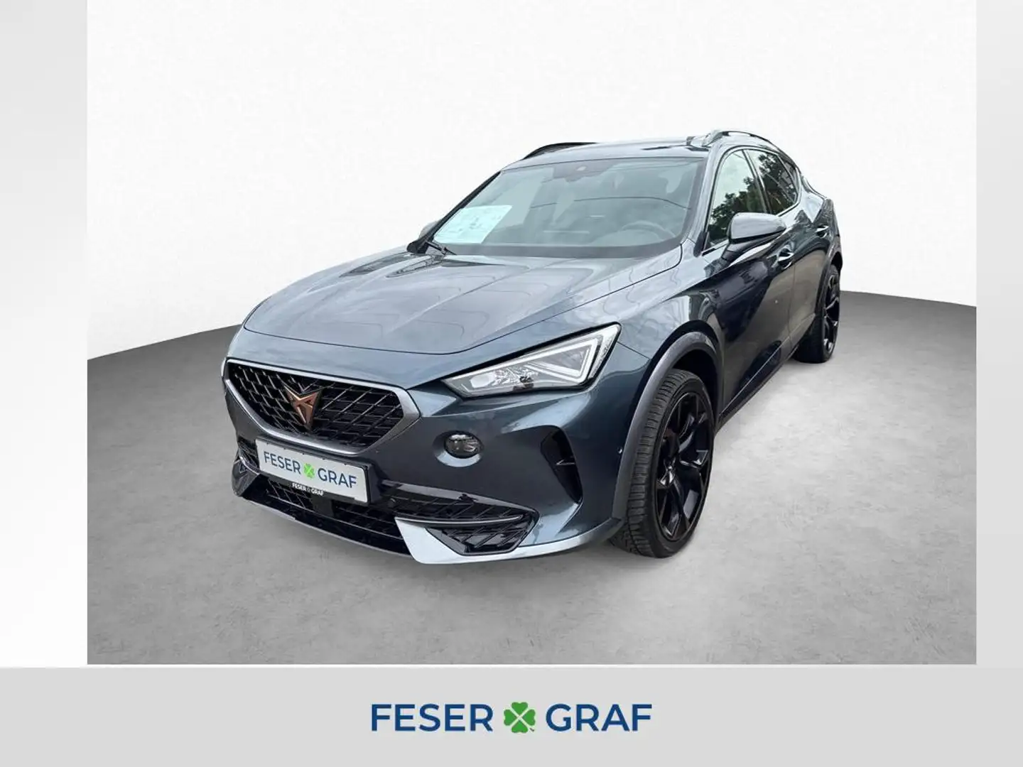 CUPRA Formentor VZ 2.0 TSI DSG 4DRIVE 19" AHK PANO el.SITZ Grau - 1