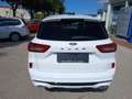 Ford Kuga 1,5 EcoBoost ST-Line Automatik Weiß - thumbnail 4