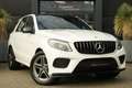 Mercedes-Benz GLE 350 d 4MATIC 259pk Grijs kenteken/Panoramadak/Trekhaak Bianco - thumbnail 8