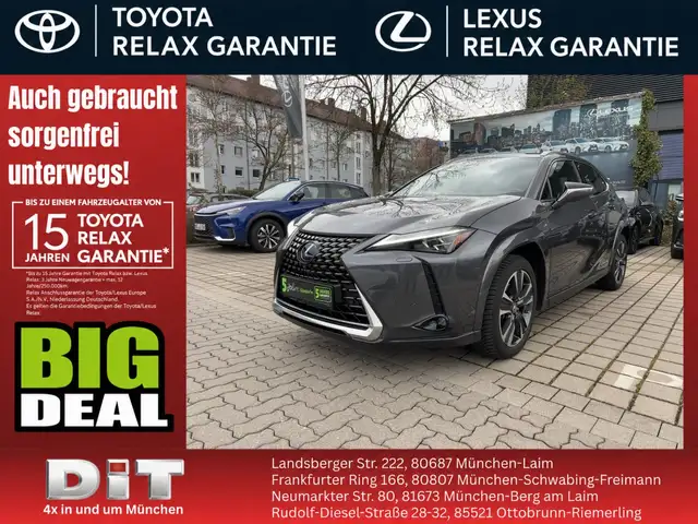 Lexus UX 250h UX 250 h Luxury Line wenig KM*Vollausstattung