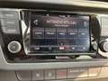 Skoda Fabia Cool Plus Blau - thumbnail 18