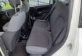 Fiat Panda 1.2 Easy AUTOVETTURA Bianco - thumbnail 9