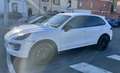 Porsche Cayenne 3..0 DIESEL 250cv - thumbnail 2