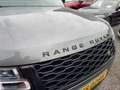 Land Rover Range Rover 4.4 SDV8 340 Autobiography Gris - thumbnail 8