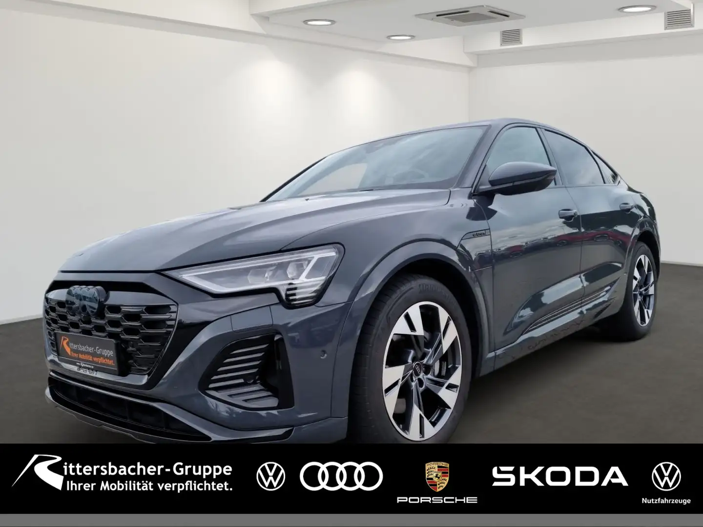 Audi Q8 e-tron 55 quattro s-line AssistenzP Grau - 1