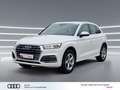 Audi Q5 50 TFSI e qu NAVI virtual Keyless 18" Sport Weiß - thumbnail 3
