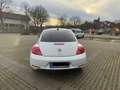 Volkswagen Beetle Design Weiß - thumbnail 8