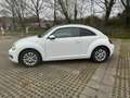 Volkswagen Beetle Design Weiß - thumbnail 5
