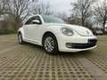 Volkswagen Beetle Design Weiß - thumbnail 2