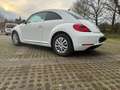 Volkswagen Beetle Design Weiß - thumbnail 3