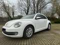 Volkswagen Beetle Design Weiß - thumbnail 1