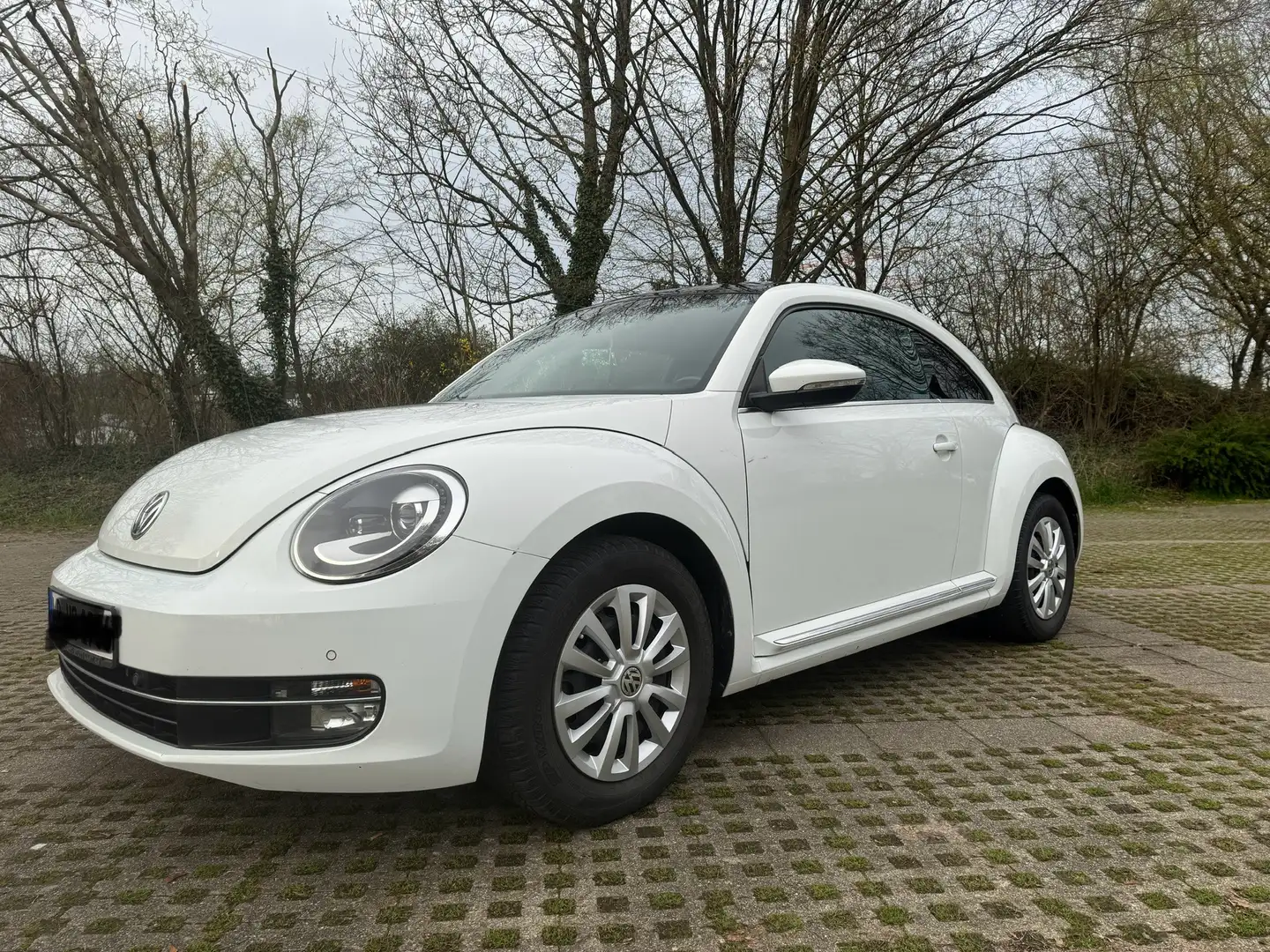 Volkswagen Beetle Design Weiß - 1