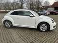 Volkswagen Beetle Design Weiß - thumbnail 6