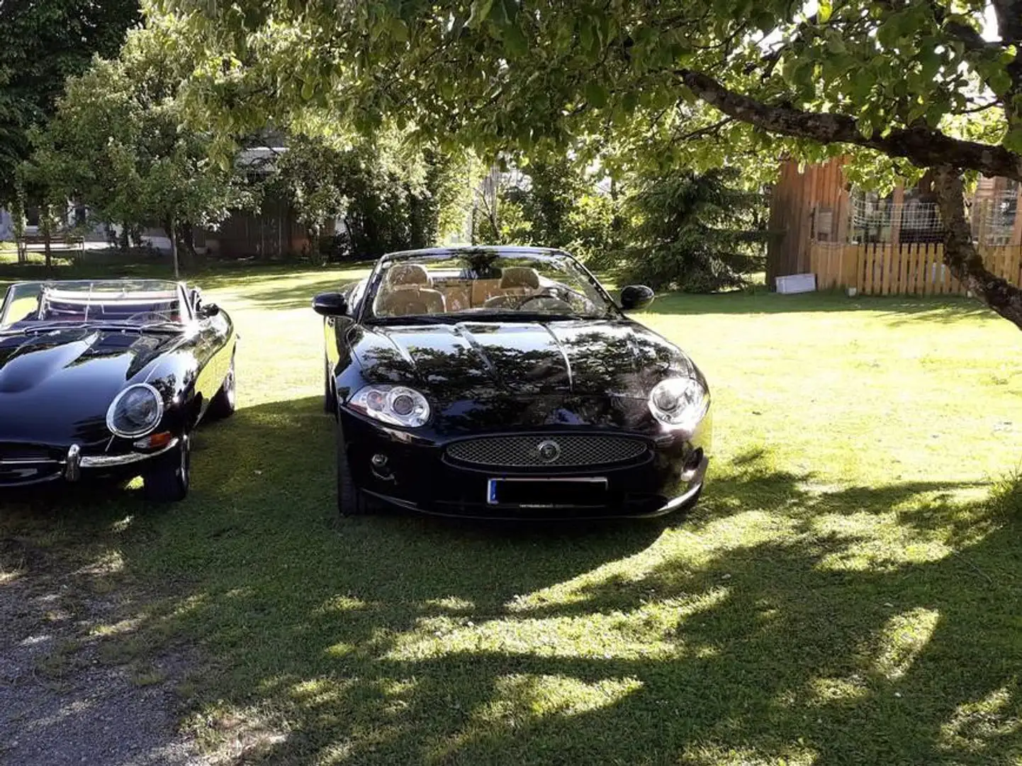 Jaguar XK8 XK8+Cabrio Negro - 2