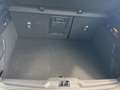 Ford Focus 2.3 EcoBoost ST LED ACC B&O Gris - thumbnail 7