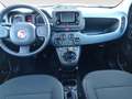 Fiat Panda 1.0 FireFly Hybrid Grigio - thumbnail 11