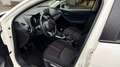 Mazda 2 1.5 SKYACTIV G 90CV LUXURY 5P Blanco - thumbnail 11