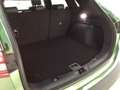 Ford Kuga Hybrid Active X Schiebedach AHK Allrad Grün - thumbnail 5