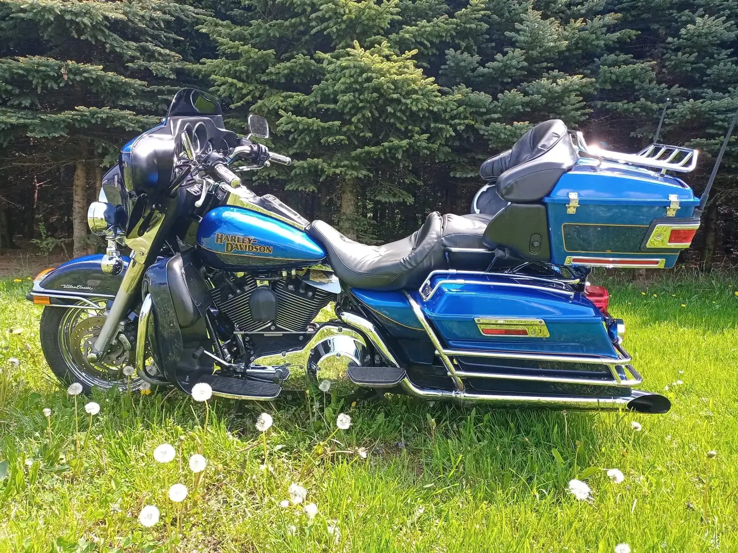 Harley-Davidson Electra Glide Azul - 2