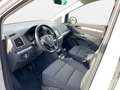 Volkswagen Sharan Business TDI SCR 4MOTION Weiß - thumbnail 7