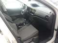 Volkswagen T-Cross 1.0 TSI LIFE *LED *ACC *RKAM *VIRUAL *APP *SHZ *A Grau - thumbnail 8
