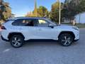 Toyota RAV 4 RAV-4 2.5 Plug-in hybrid  4WD Advance Advance Blanco - thumbnail 17