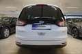 Ford Galaxy 2.5 Duratec FHEV Hybrid Titanium Aut. AHV/LED/Nav Weiß - thumbnail 6