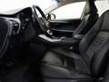 Lexus NX 300 300h F Luxury 4WD Amarillo - thumbnail 11
