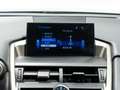 Lexus NX 300 300h F Luxury 4WD Amarillo - thumbnail 13