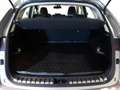 Lexus NX 300 300h F Luxury 4WD Amarillo - thumbnail 22