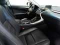 Lexus NX 300 300h F Luxury 4WD Amarillo - thumbnail 5