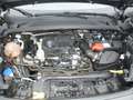 Ford Puma Puma 1.0 EcoBoost TITANIUM Gris - thumbnail 13