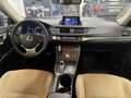 Lexus CT 200h CT 2010 1.8 hybrid Business cvt E6 Gris - thumbnail 9