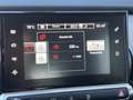 Citroen C4 Cactus 1.2 PureTech Shine | Dealer onderhouden | Camera | Zwart - thumbnail 37