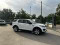 Land Rover Discovery Sport 2.0 TD4 150 CV Pure Bianco - thumbnail 4