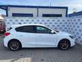 Ford Focus 1.0 EcoBoost Hybrid 125 CV 5p. Business Weiß - thumbnail 12