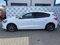 Ford Focus 1.0 EcoBoost Hybrid 125 CV 5p. Business Weiß - thumbnail 3
